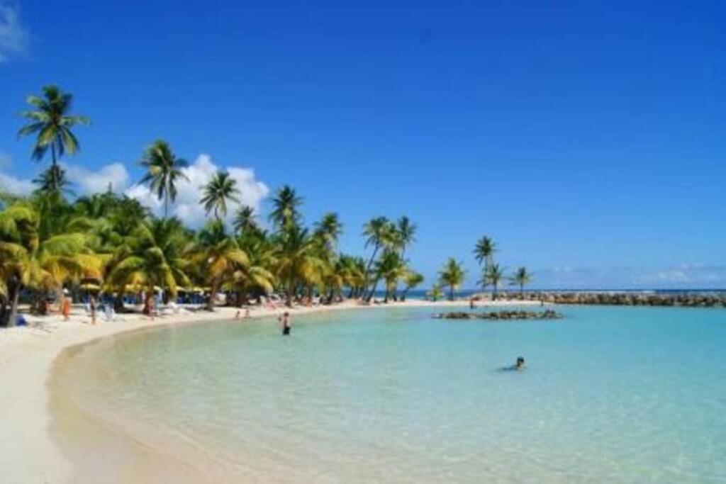 Gite Cajou Dans Jardin Tropical Ventile A Sainte-Anne מראה חיצוני תמונה