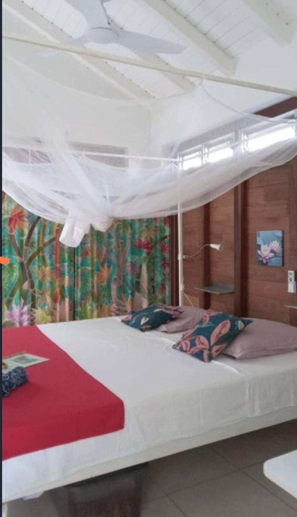 Gite Cajou Dans Jardin Tropical Ventile A Sainte-Anne מראה חיצוני תמונה