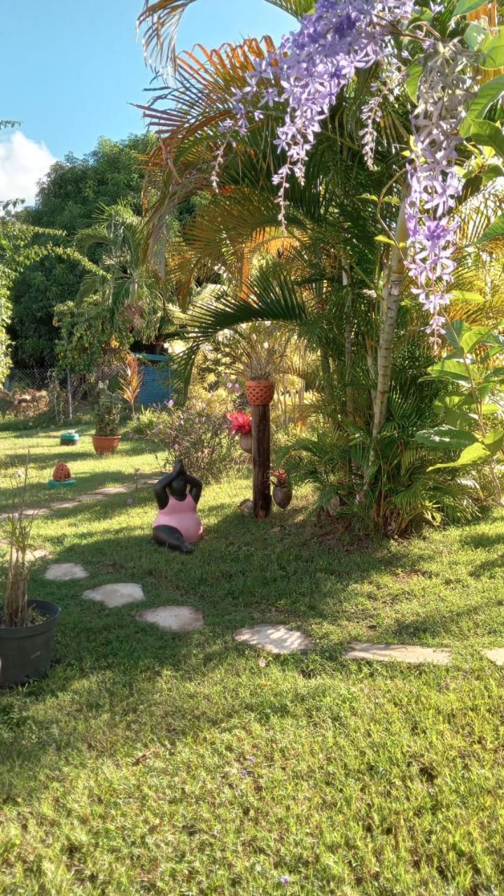 Gite Cajou Dans Jardin Tropical Ventile A Sainte-Anne מראה חיצוני תמונה