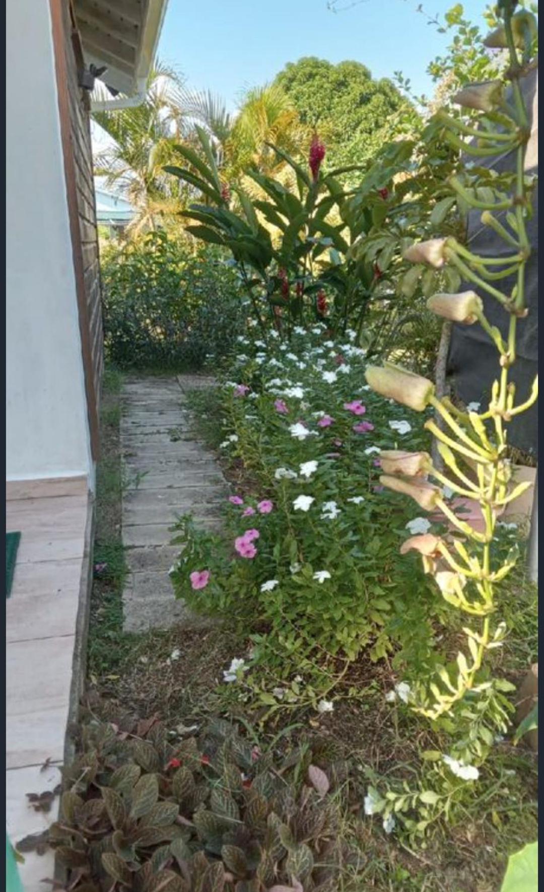 Gite Cajou Dans Jardin Tropical Ventile A Sainte-Anne מראה חיצוני תמונה